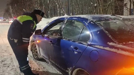 �������, ���������� ���������������� �������� � ��������� ������ ����������-���������������� ����������� ���������� ���������