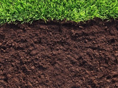 ��� �������� ��������� ���� ������� ������