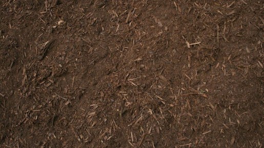 �������� � �������������: ����������� ����� ��� ������� ����