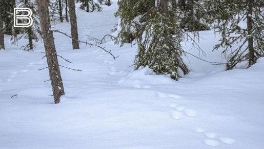 �� ������ ����������� ��������������, 8 ����� � �������� ��������� ��������� �������� � ������������ ������