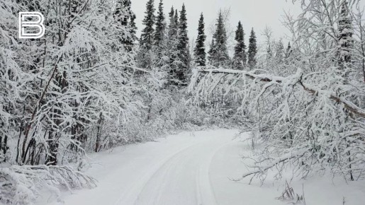 �� ������ ����������� ��������������, 9 ����� � �������� ��������� ��������� �������� � ������������ ������