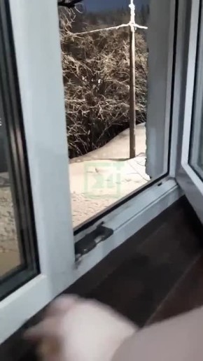 ������ ����, ���������!. � ��� � �������� ���������� ��������� ������� � ������ ������, ����������� ��������� �����������