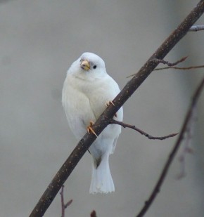 ������ ����, ���������!. � ��������� �� ���������� � ���� ����������� �������� ���������� ������ �������