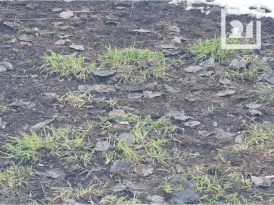 ������� � ���������� ������� ����������� ��������?