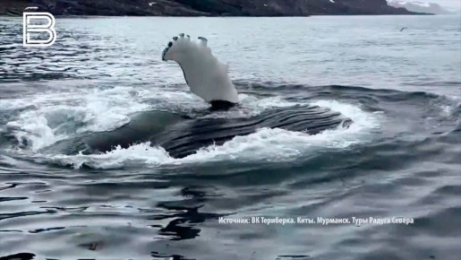 ������������ ���������� �� �������� ��������� � ���������� ������� ���������� ����������