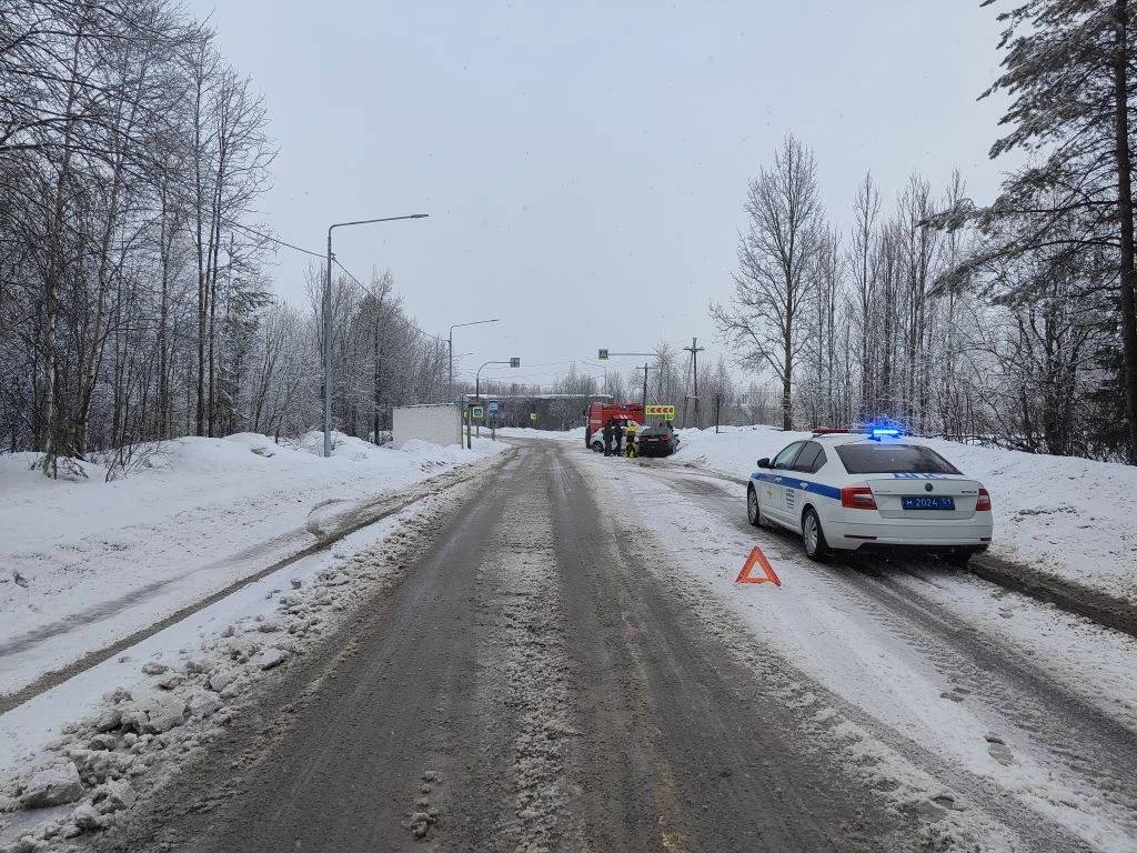 16 марта в 08 часов 39 минут на 15 км + 530 м автодороги "Кандалакша - Полярные Зори" водитель, 1992 года рождения, управляя автомобилем "Рено