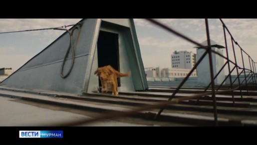 �� ������� ������ ����� �������������� ����� "������ ���"