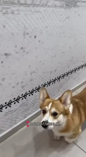 ��������� ����������� �������� � ����� � ���������