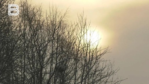 По данным мурманского гидрометцентра, 22 марта в Кольском Заполярье ожидается переменная облачность