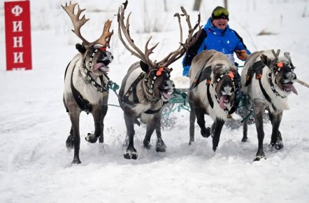 �������� ������: � �������� ���������� ������������� ����������� �� ������������ ����� ������ � ������������ ���� ���������