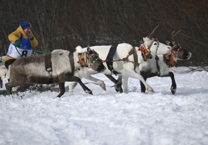 � �������� �������� ����� �� ������� ��������