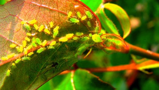 ����������� ������ ������ � ����: ������� ������, ������� ���������� ���������� �� ��������� ������