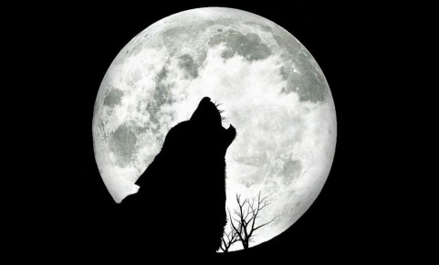 ������ ������� �� ��� � ��������� �������, � ������ ������ 4 ���� ��� ����� �� ����