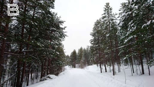 � ���������� ������� ������� �������� ��� ���������� �� ������