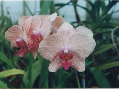 ��������� �����: ������� ������ ������� �������� �����