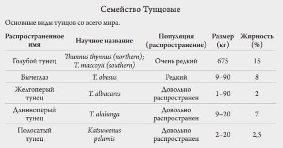 ����� � ��������: �������� ��� ���������������� ����