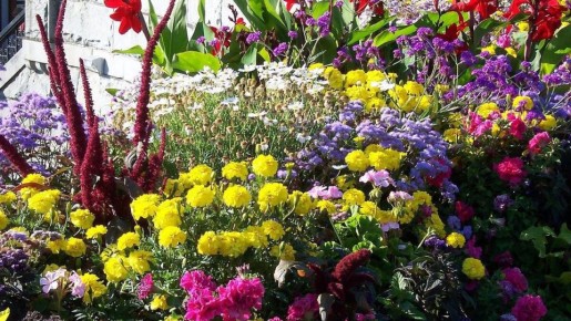 ��������, ������� ����� �� ������ � �������