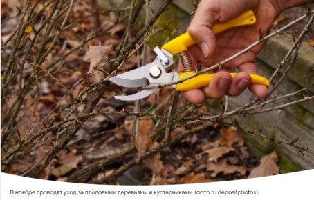 ���������� ������� ������� � ����: ������ �� ����� �� ����� � ��������