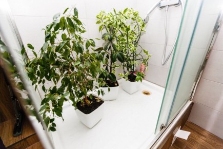 ����� ��� ��� �������� �������, � ����� ������?