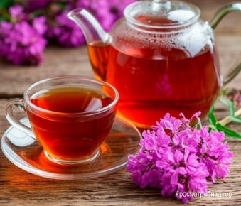 ����-���: �������� �� ������� �������� ���������