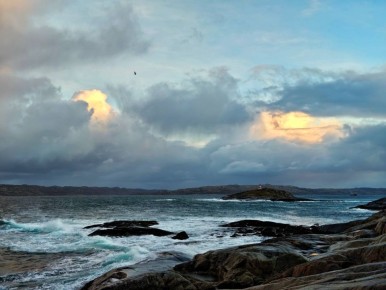 ����������� �������� �����