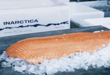 ������ ������� �� ������ ����� ��������������: ��������� � ������ ��������