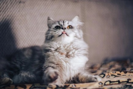 �������� ����: ���-10 ����� ��� ���� � ������