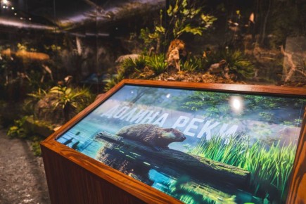 ����� �� 5 ������! � ������ ��������� ��������� �������� �������� ��������