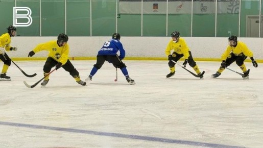 В Мурманске завершился турнир по мини-хоккею с мячом