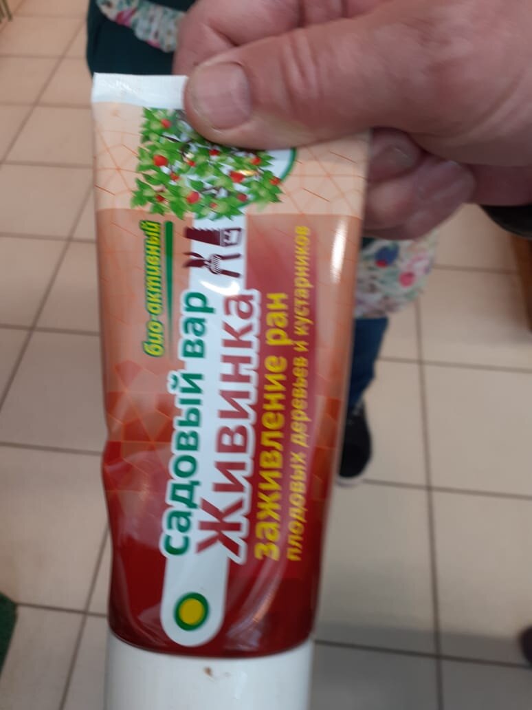 Важность натурального садового вара: что удивило в ассортименте Сангрина