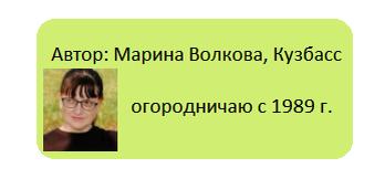 Весенние чудеса на огороде: что нового успела увидеть