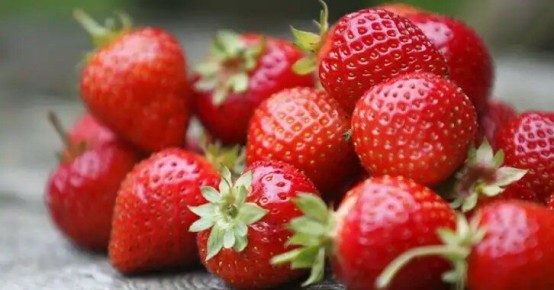 Как справиться с слишком большим количеством усов у клубники