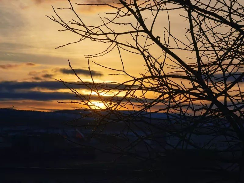 ������ ����, ���������!. ���� � ���������� ������� ������� ����� ������