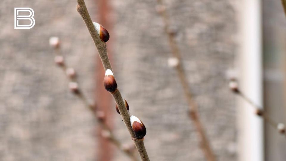 �� ������ ������������� ��������������, � ������� � �������� ��������� ������� ������ ����, ���� ��� �������