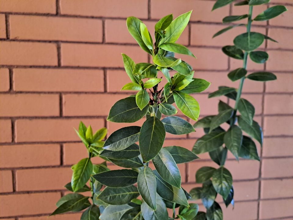 ���� � ����� ����: ��� ��������� ��������� �������� � ��������