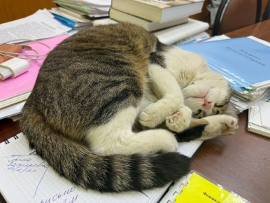 �������� �������� ������-�������� ����� ��������� �����