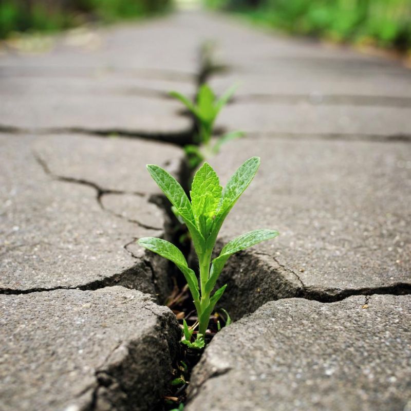 ��� ��������� ������� �������� ������� � ����: ������� ������ �� ������ � ���������������