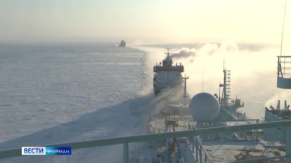 ������ �����: ���������� ������� � ���� �������� ����������� ��������� � �����������