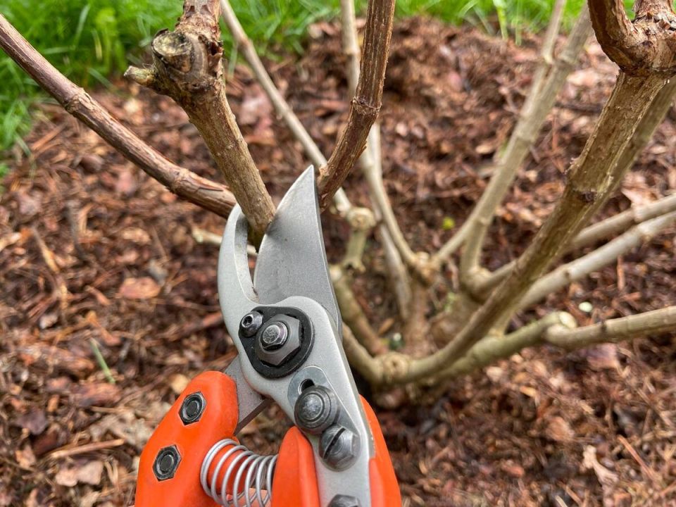 ������� � �������� ���� �� �����������: ���������� ������ ��� ���������� ������