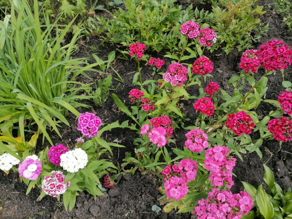 �������� � ����: ��� ������� ������ ����������