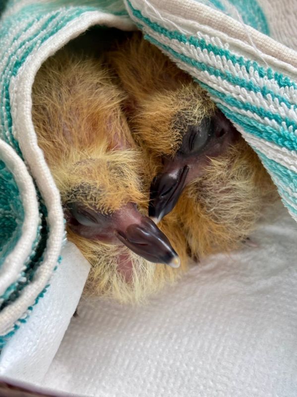 ����� ������ ������, ��� �� ��� ���������?