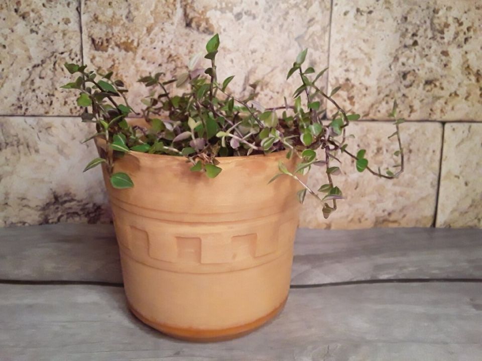 �������� � ������������ ����: ����������� �������, ������� �������� ������ ���������