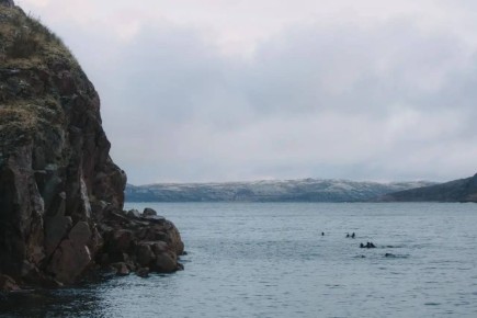 ������������ ����������� �� ���������������� ����� ������������ �� ���� ��� ����������������