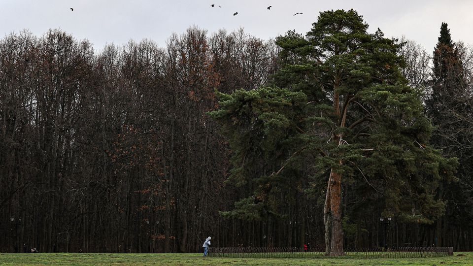 ������ ������ �������������: ������ ������������ ��� �������