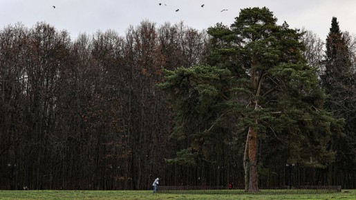 Ученые против законопроекта: защита заповедников под угрозой
