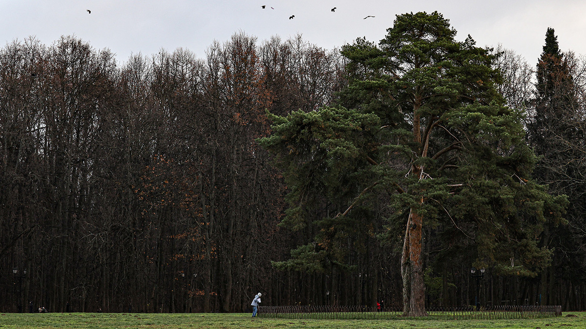 Ученые против законопроекта: защита заповедников под угрозой