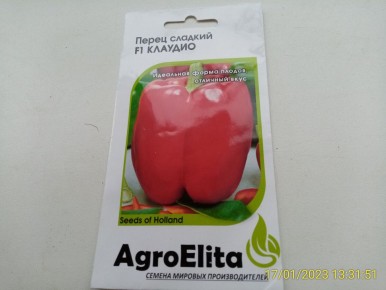 ������� �����, ������� ������� ���� ������� � 2026 ����