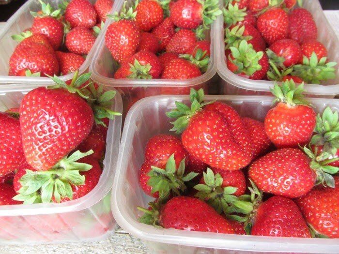 ��� �������� �������� �� ������ �������: ���������������� ������ ���������