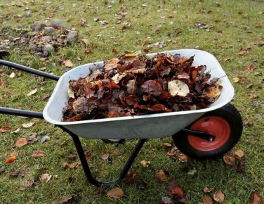 ���������� ������� ������ � ������� ������ ������ ����