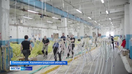 ���������� ������ � ��������� ��������: ��������������� �������� ���������� ����� ��� ���������� �������������